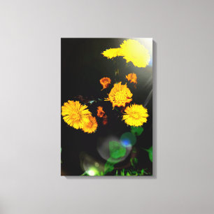 Wild flowers in the sunshine canvas print
