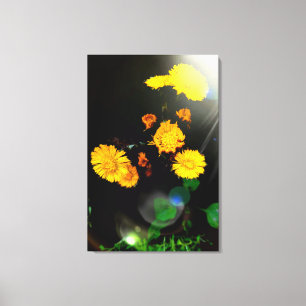 Wild flowers in the sunshine canvas print