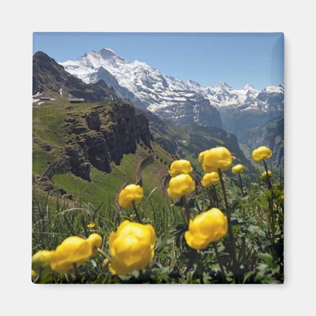 Wild flowers Jungfrau region Magnet (Front)