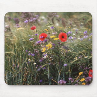 Wild flowers mouse mat
