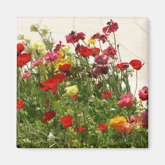Wild flowers on green field magnet