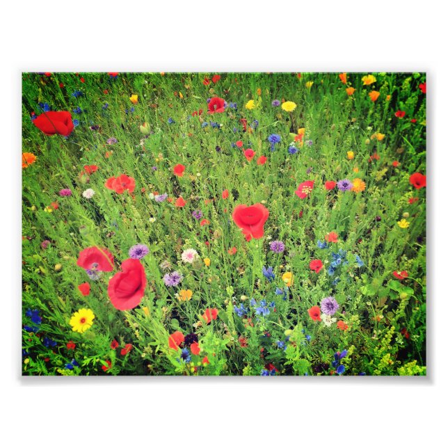 Wild flowers  Photo Professional Paper (Satin) (Front)
