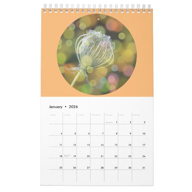 Wild Flowers Photography Calendar (Jan 2026)
