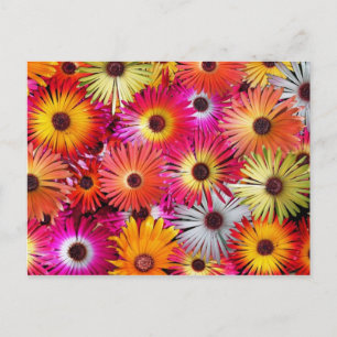 wild flowers postcard