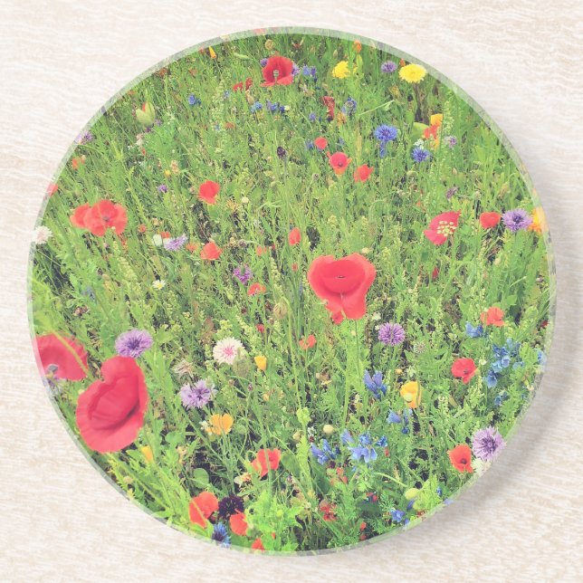 Wild flowers Spring Photo Sandstone Drink Coaster (Front)