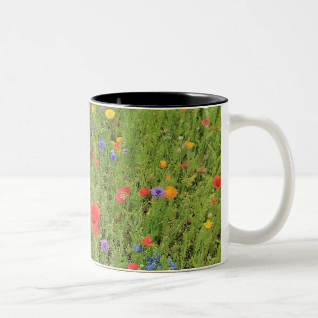 Wild flowers Spring Photo Two-Tone Mug (Right)