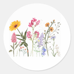Wild Flowers , Vintage Botanical nice flowers Classic Round Sticker