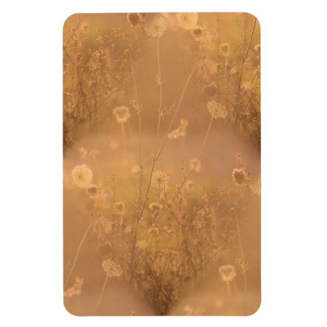 Wild Flowers with Orange Glow Magnet (Vertical)