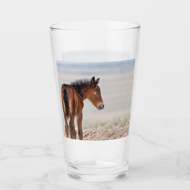 Wild Foal  Glass (Front)