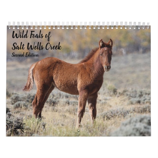 Wild Foals of Salt Wells Creek Calendar (Cover)