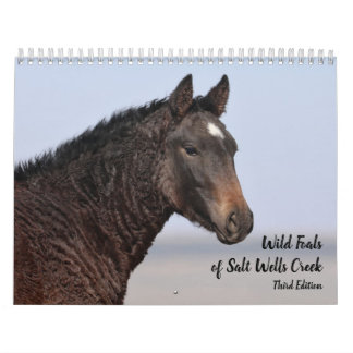 Wild Foals of Salt Wells Creek Calendar