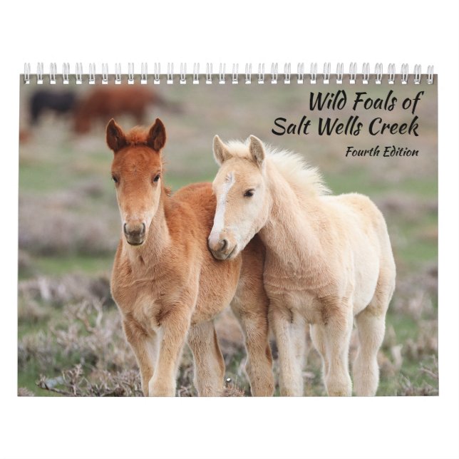 Wild Foals of Salt Wells Creek Calendar (Cover)