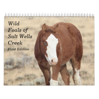 Wild Foals of Salt Wells Creek  Calendar