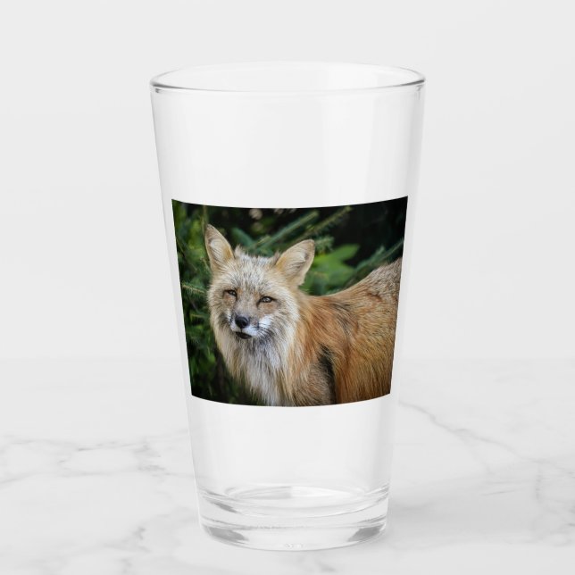 Wild Fox Glass (Front)