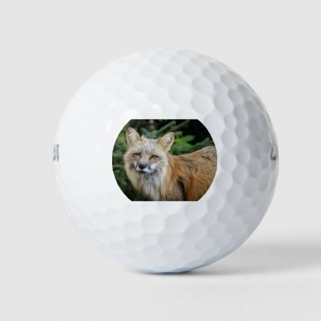 Wild Fox Golf Balls (Front)