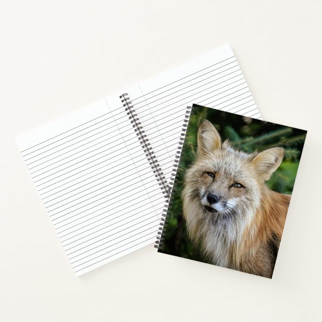 Wild Fox Notebook (Inside)