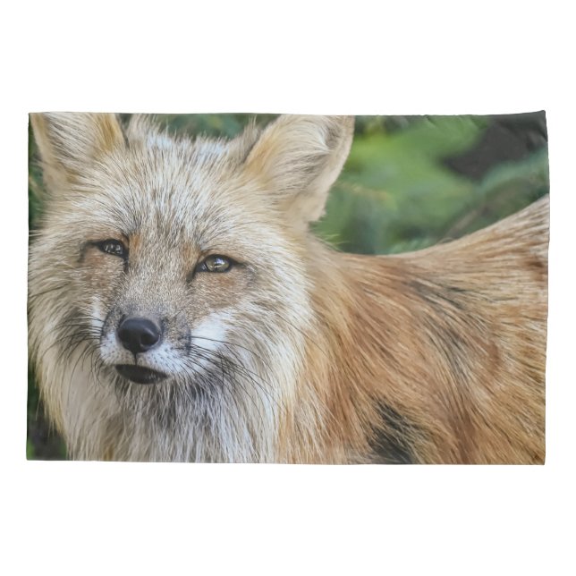 Wild Fox Pillowcase (Back)