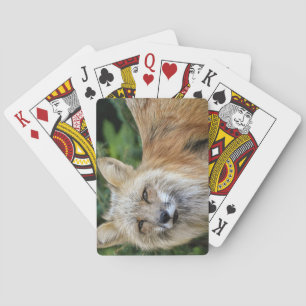 Wild Fox Playing Cards
