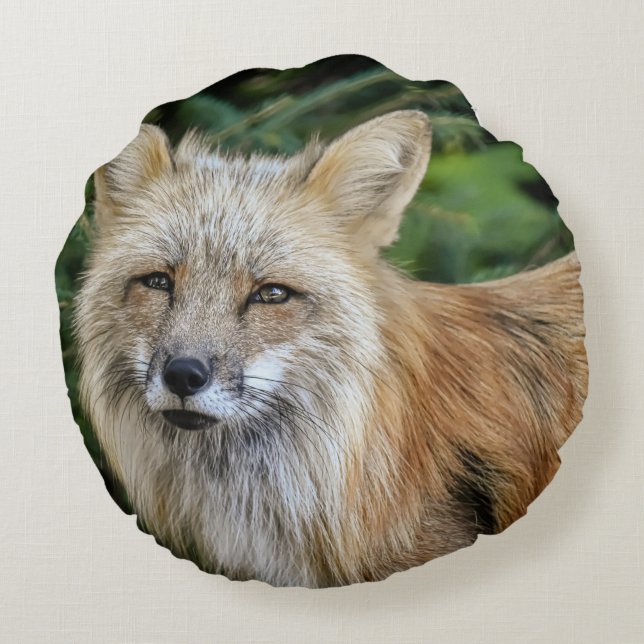 Wild Fox Round Cushion (Back)