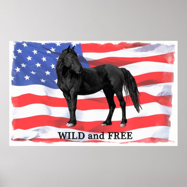 Wild & Free American Wild Horse Poster (Front)