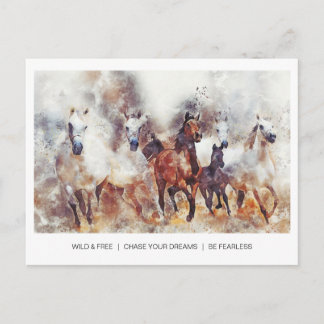 Wild & free horses postcard