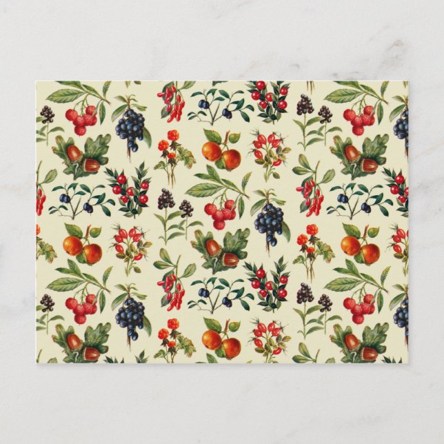 Wild Fruits Of The Countryside Postcard (Front)