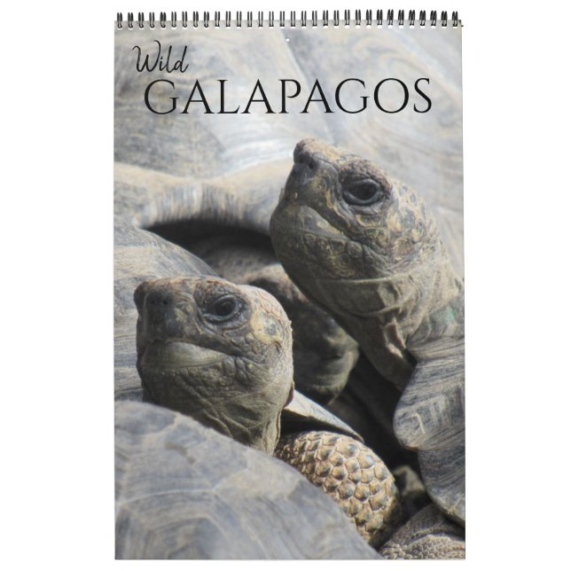 wild galapagos 2026 calendar (Cover)