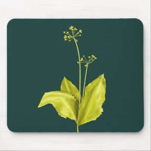 Wild Garlic Green Plant Nature Lover Botanist Mouse Mat