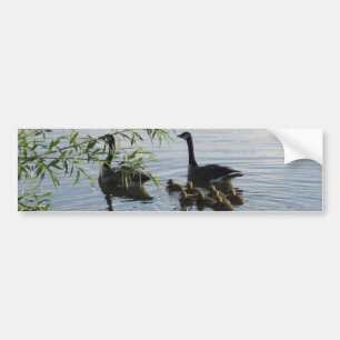 Wild Geese Bumper Sticker