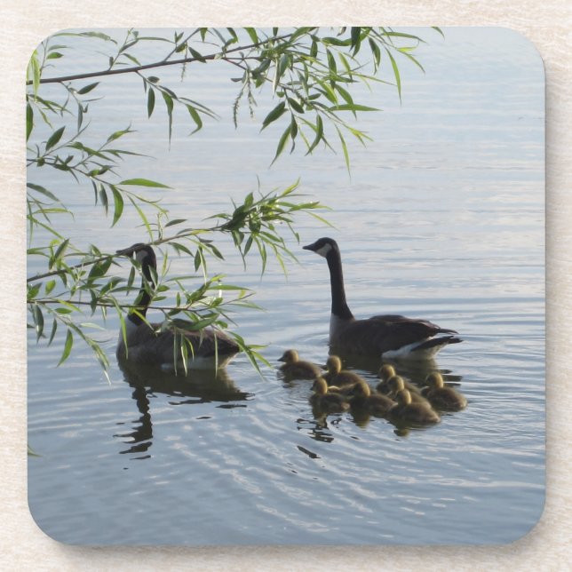 Wild Geese Coasters - Set of 6 (Front)