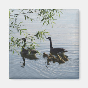 Wild Geese Magnet