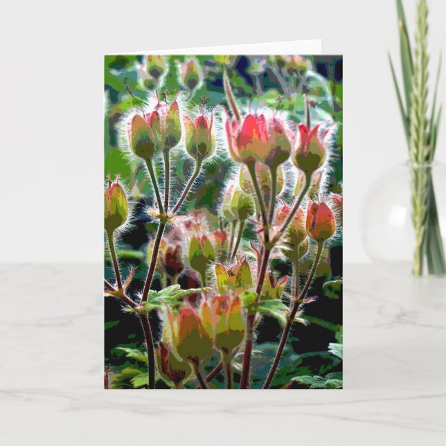 Wild Geranium seed pods Card (Front)