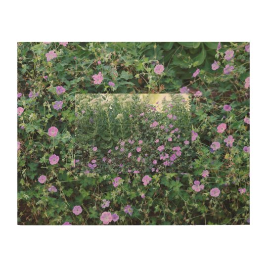 Wild Geraniums X 2 Wood Print