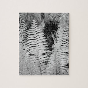 Wild giant leather fern, Florida, USA. Jigsaw Puzzle