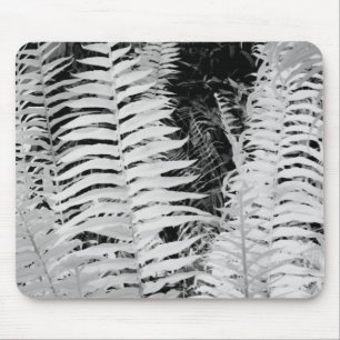 Wild giant leather fern, Florida, USA. Mouse Mat