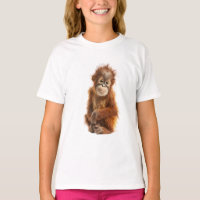 Wild Ginger Hair Orangutan Primate Baby Kids