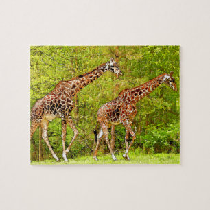 Wild Giraffes - African Wildlife Jigsaw Puzzle