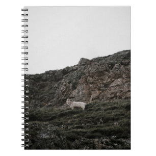 WILD GOAT NOTEBOOK