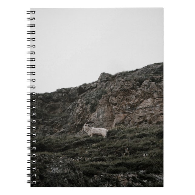 WILD GOAT NOTEBOOK (Front)