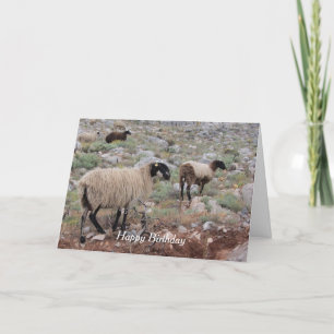 Wild Goats Birthday Greeting Card