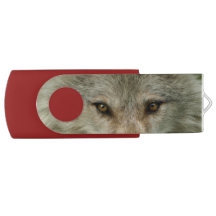 Wild Golden White Wolf Eyes Wildlife Design
