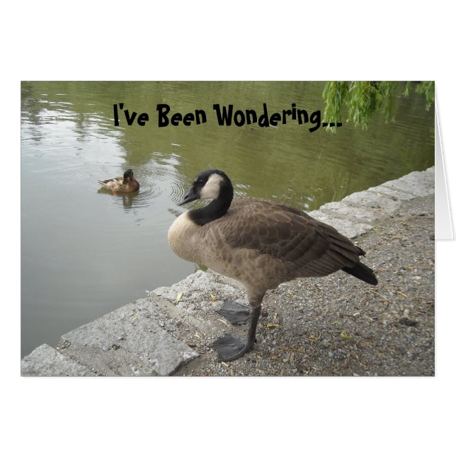 Wild Goose (Front Horizontal)