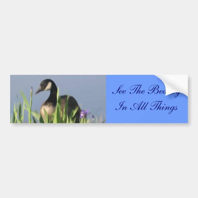 Wild Goose Beauty Inspirational Bumper Sticker (Front)