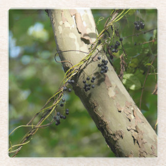 "Wild Grapes" Original Art by KAS Glass Coaster