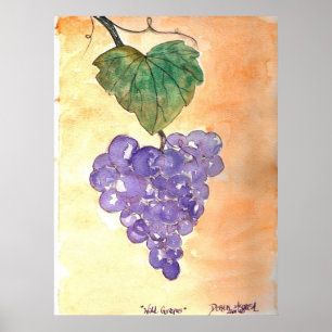 Wild Grapes Poster