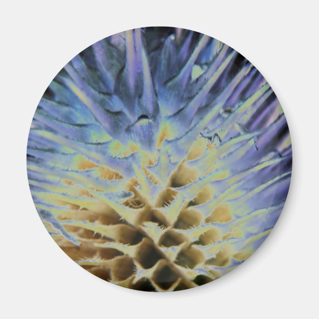 Wild Grass Explosion Magnet (Front)