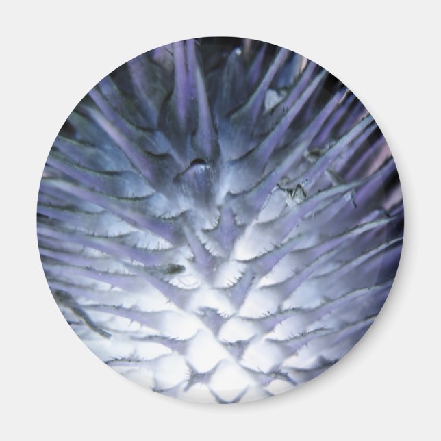 Wild Grass Ice Princess Magnet (Front)