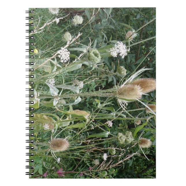 Wild Grasses Notebook (Front)
