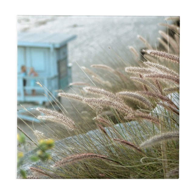 Wild grasses on Malibu beach California Tile (Front)