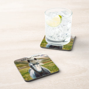 Wild Grey Horse in the Mountains Coaster